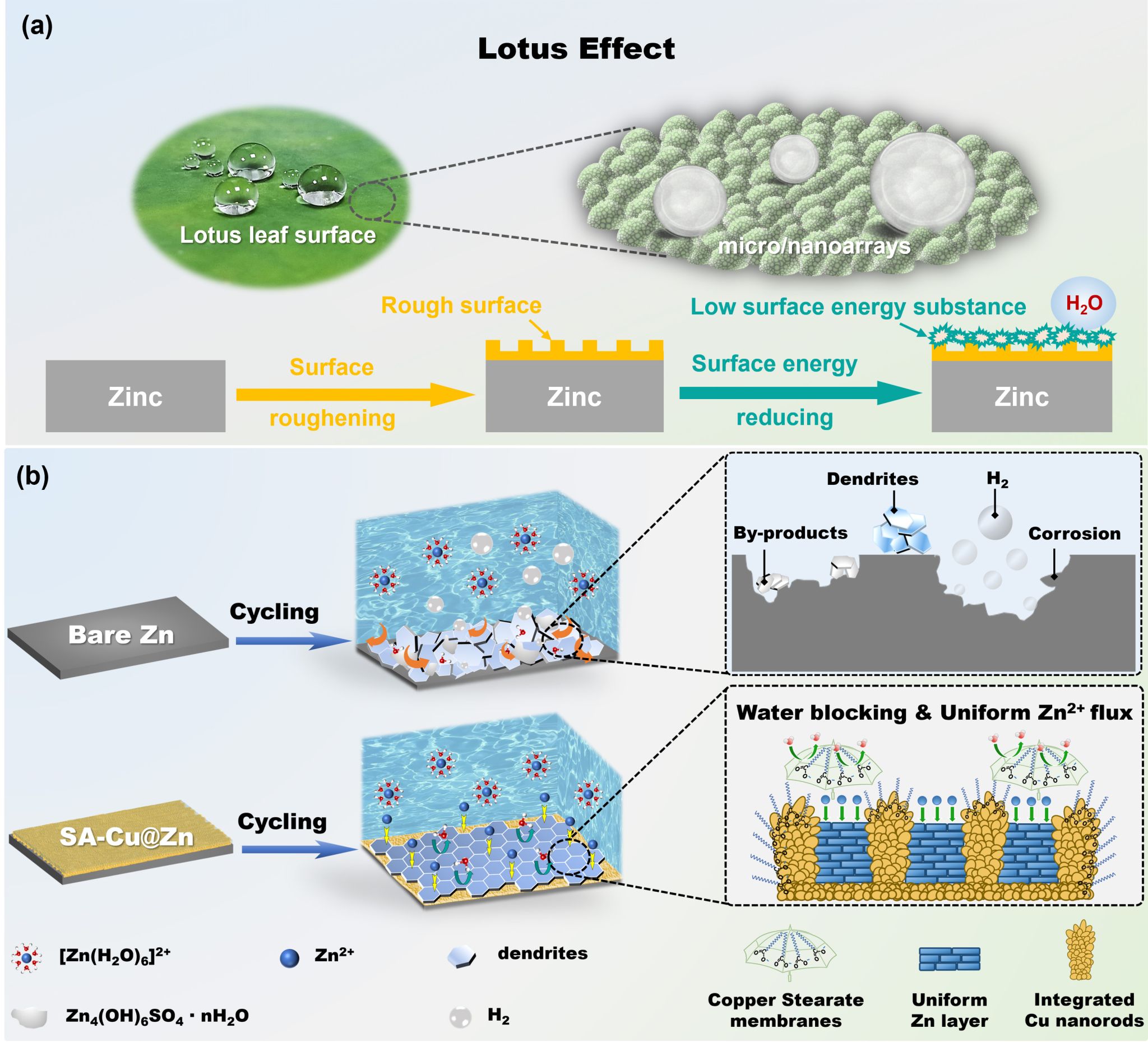 image2.jpg image2.jpg