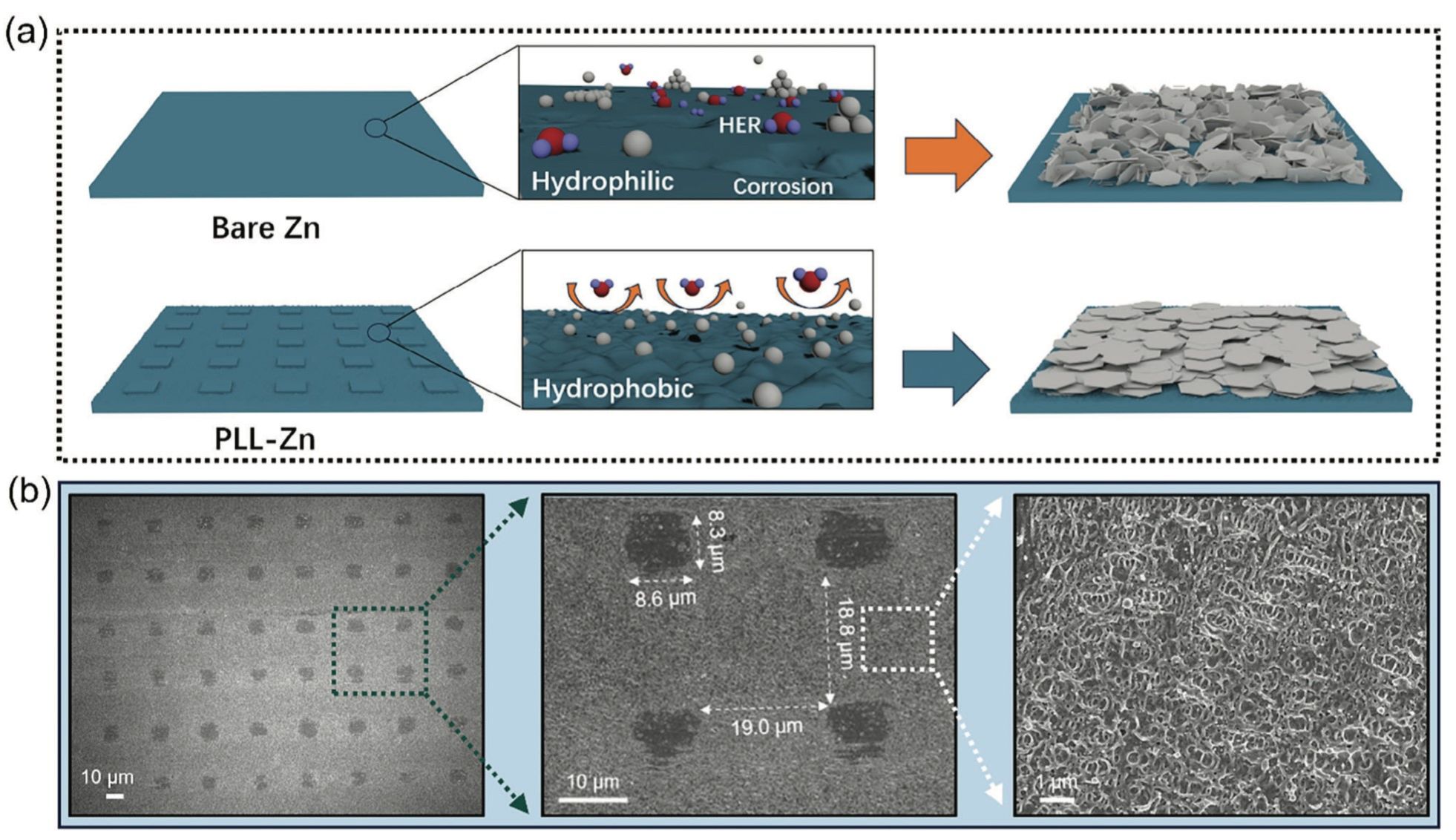 20250110-2.jpg 20250110-2.jpg